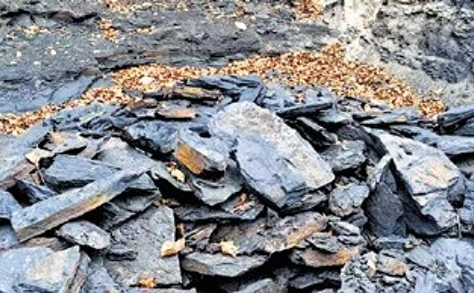 Illegal coal mining